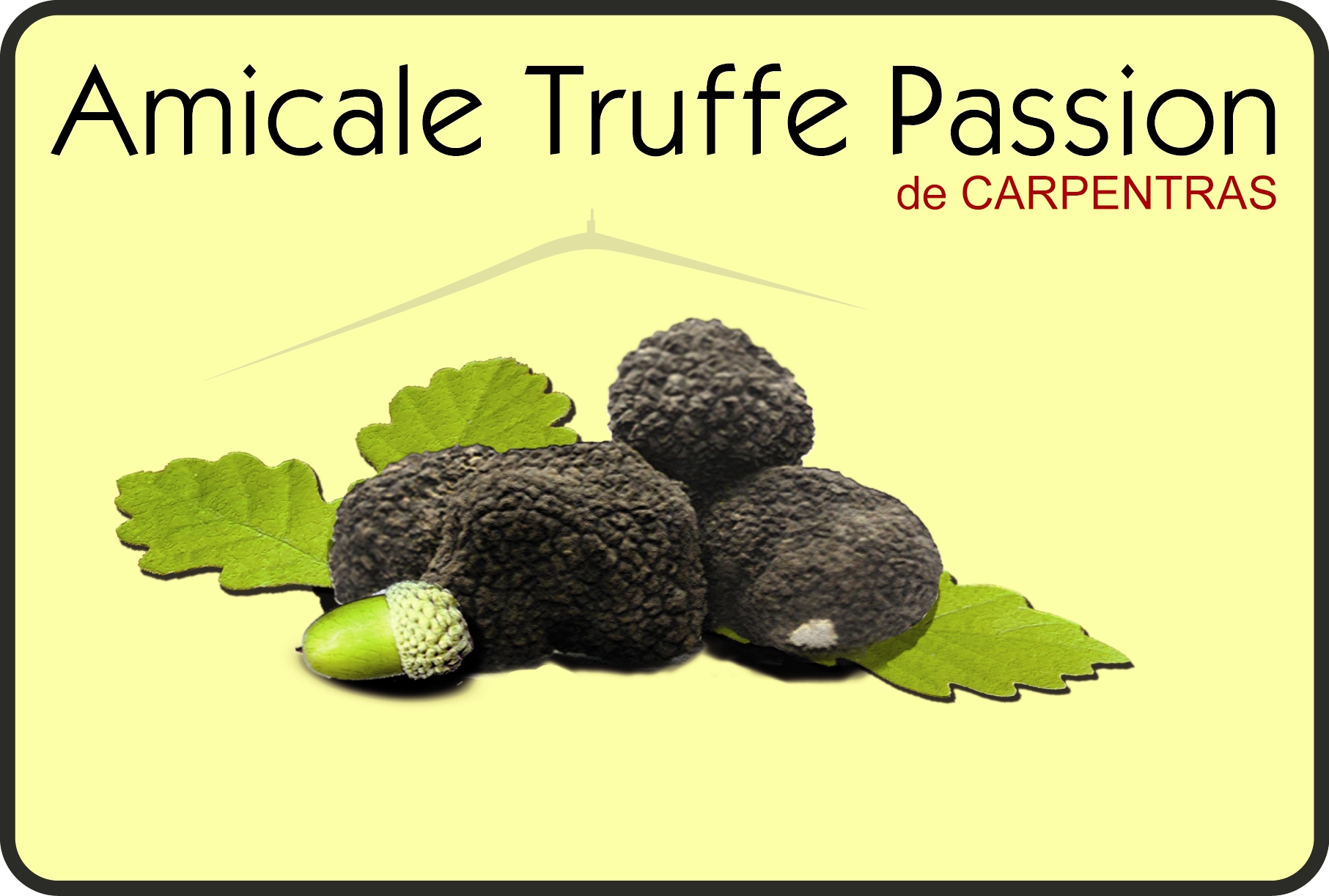 Amicale